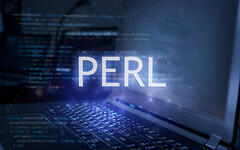 Perlとは？経験別Perlエンジニアへの転職のポイントについても解説