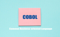 COBOLしかできないと将来どうなる？スキルチェンジの道も紹介